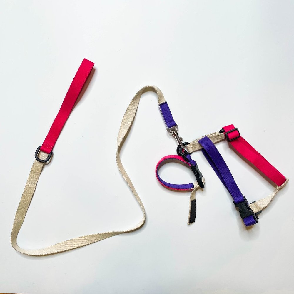Zara Multi-Coloured Leash, Collar & Harness Bundle